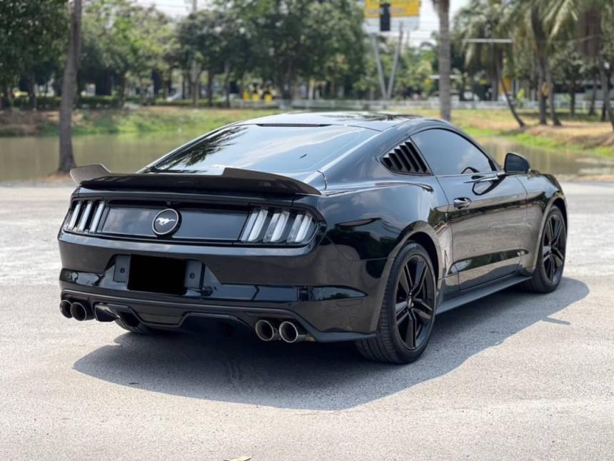 MUSTANG